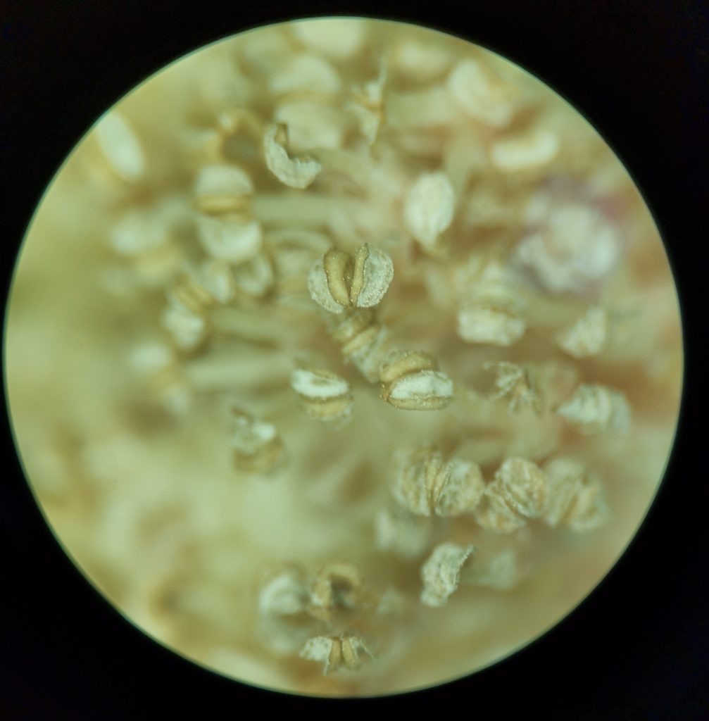 IMG_20260315_094847_edit_22410080078871