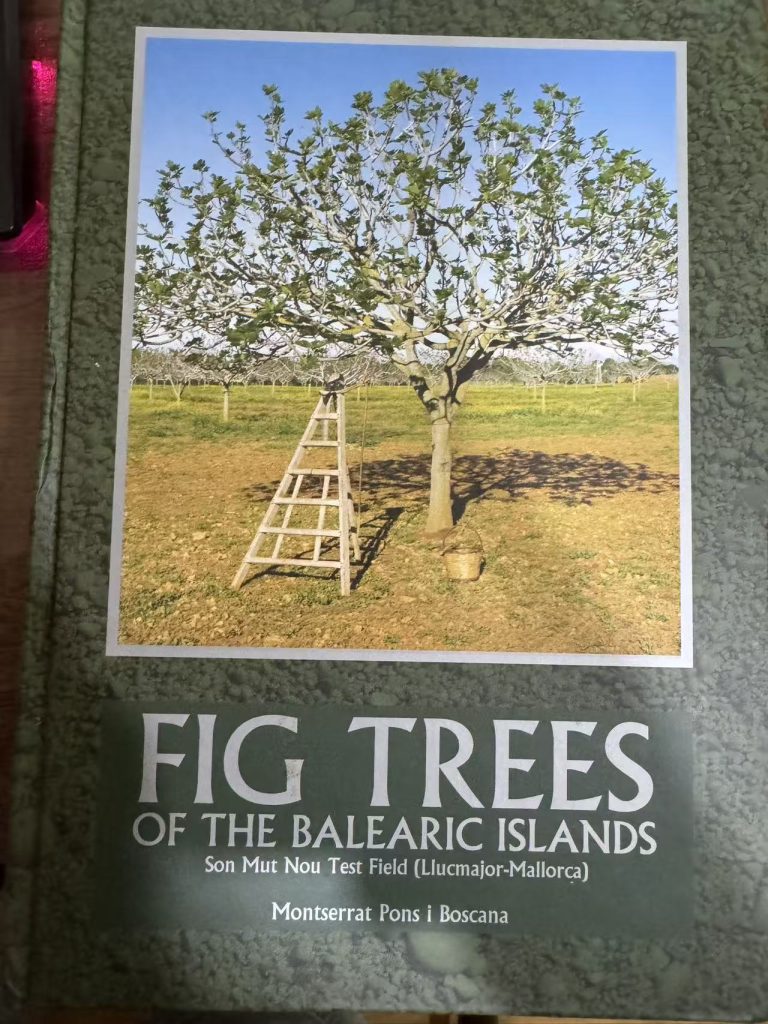 Image_20260318112612_18_3