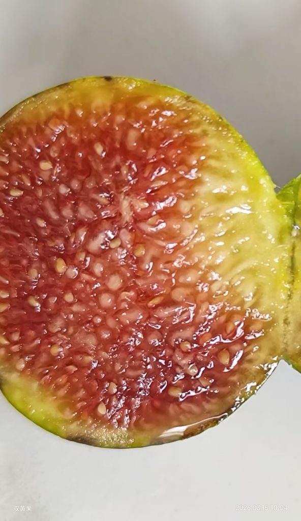 mmexport1773547626100