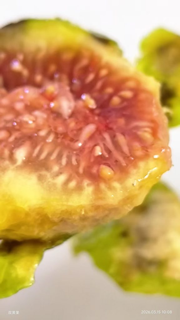 mmexport1773547634628