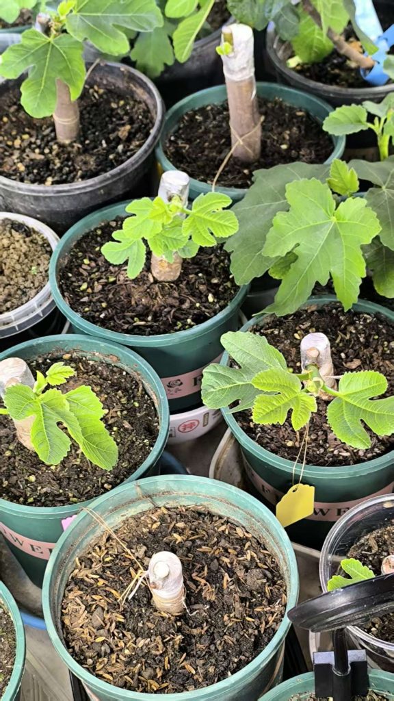 mmexport1773549550969