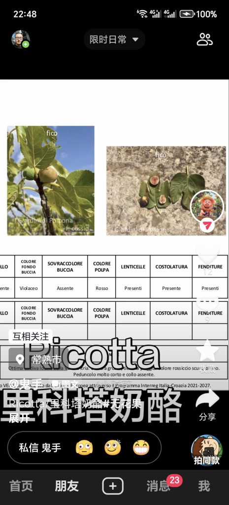 奶酪/里科塔 Fico Ricotta(波莫纳花园)（鬼手）-小果迷