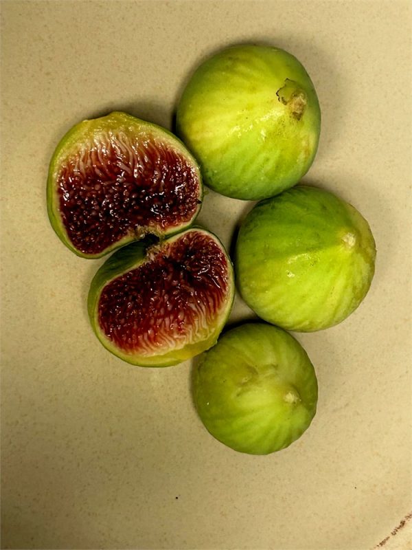 小果迷-种植爱好者交流互动平台