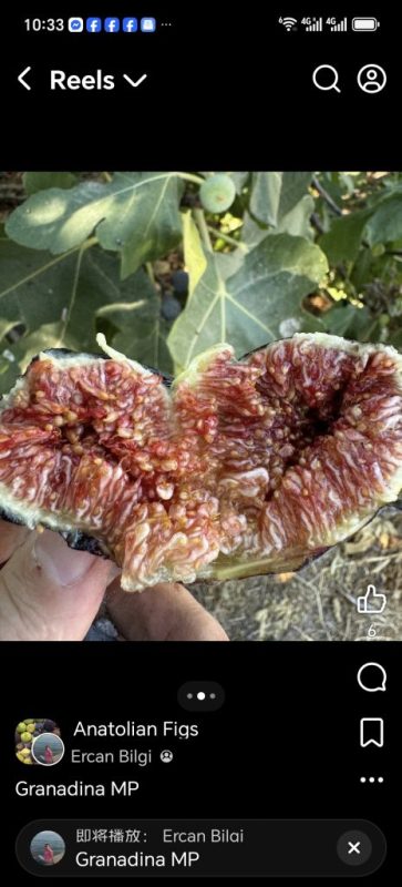 小果迷-种植爱好者交流互动平台