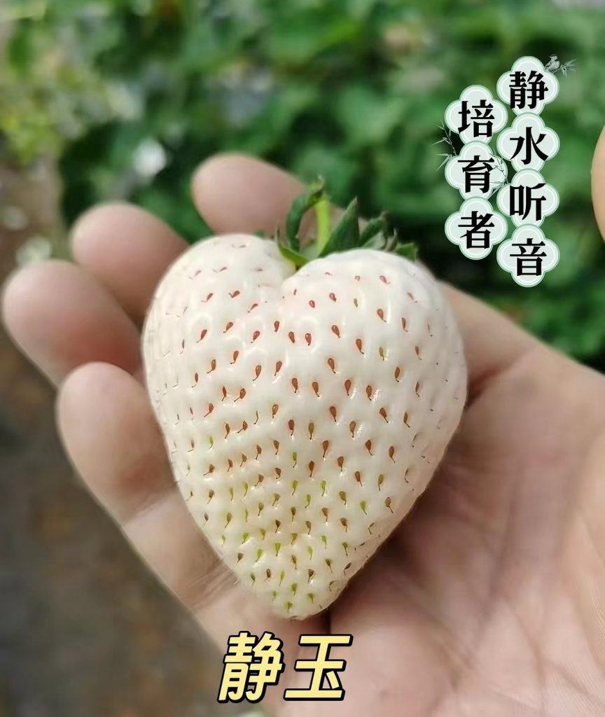 小果迷-种植爱好者交流互动平台