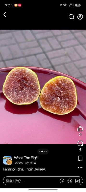 小果迷-种植爱好者交流互动平台