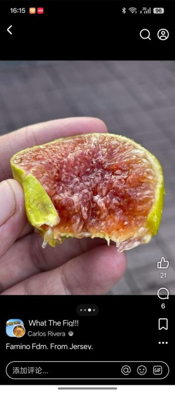 小果迷-种植爱好者交流互动平台