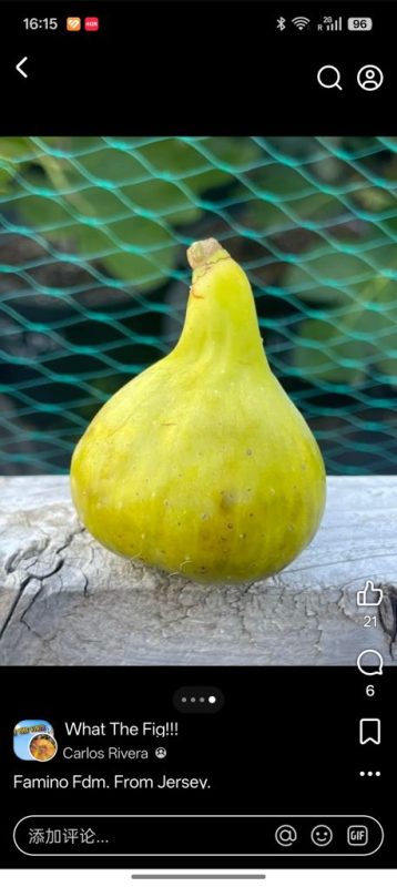 小果迷-种植爱好者交流互动平台