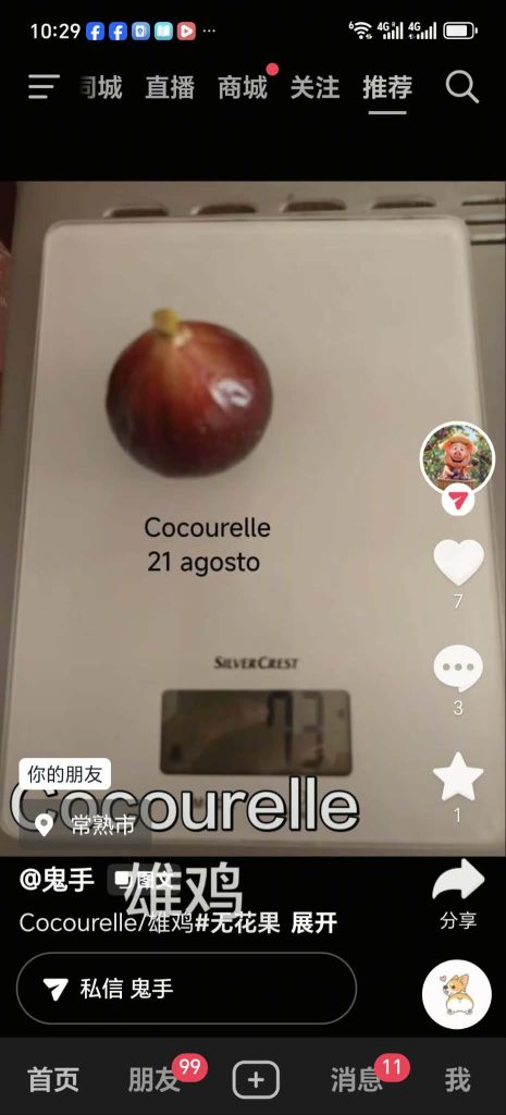 雄鸡 Cocourelle （鬼手）-小果迷