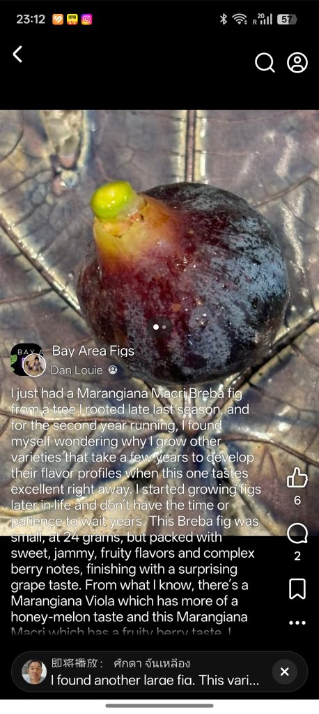 小果迷-种植爱好者交流互动平台