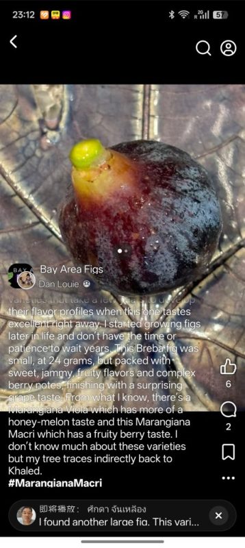 小果迷-种植爱好者交流互动平台