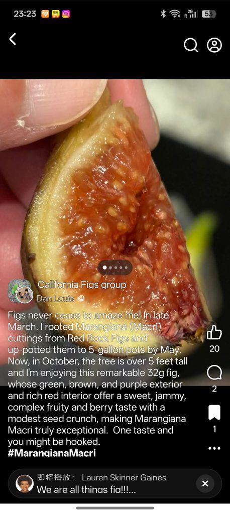 小果迷-种植爱好者交流互动平台