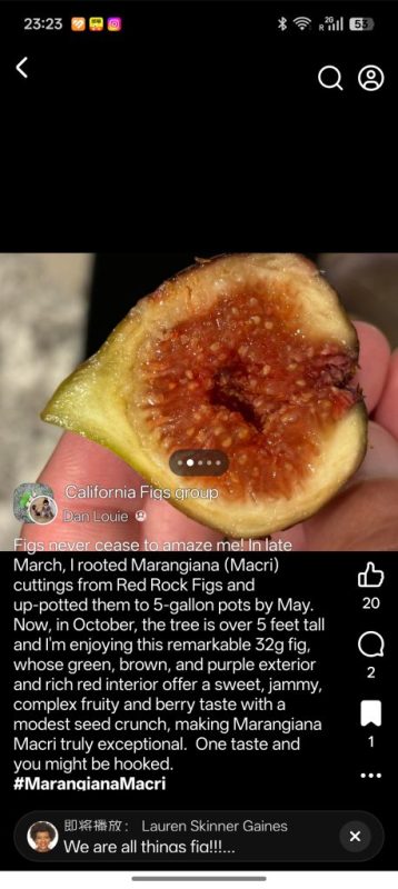 小果迷-种植爱好者交流互动平台