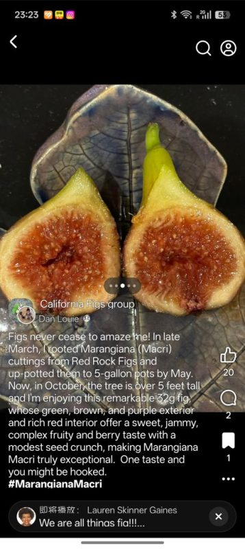 小果迷-种植爱好者交流互动平台