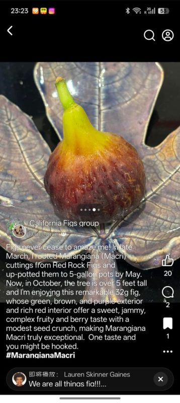 小果迷-种植爱好者交流互动平台