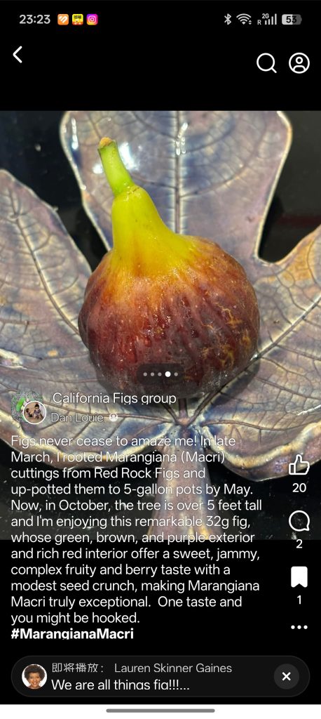 小果迷-种植爱好者交流互动平台