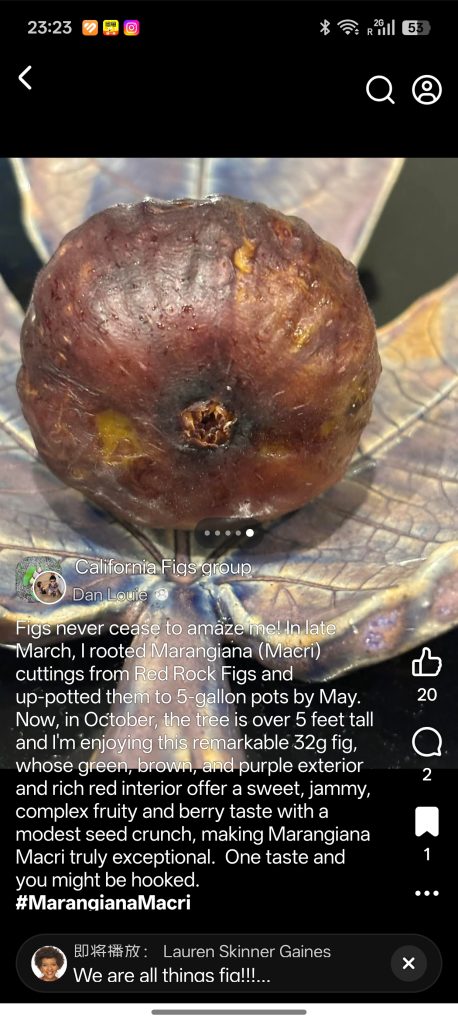 小果迷-种植爱好者交流互动平台