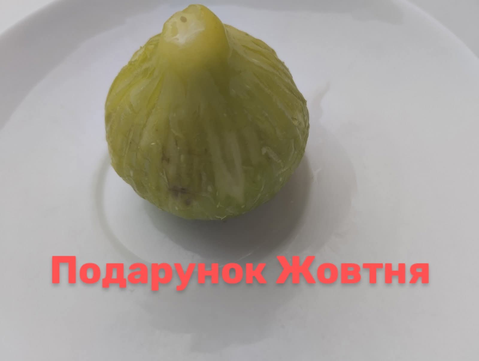 小果迷-种植爱好者交流互动平台