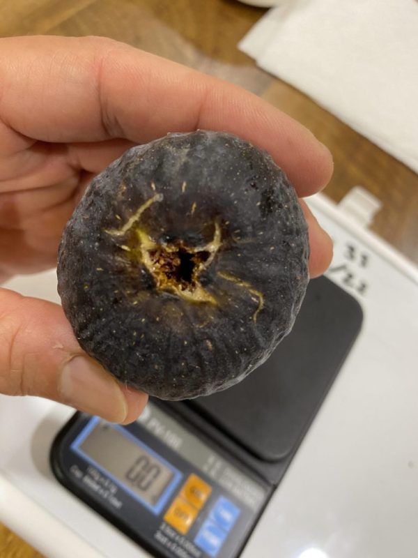 小果迷-种植爱好者交流互动平台