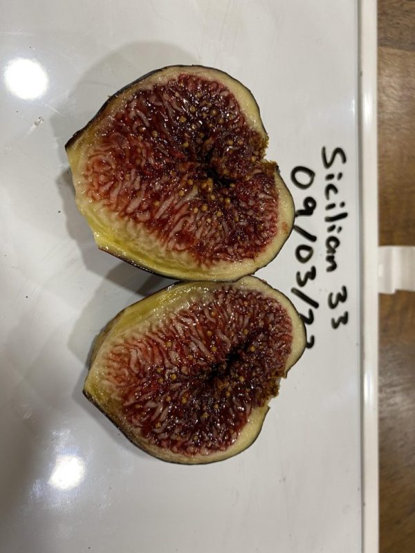 小果迷-种植爱好者交流互动平台