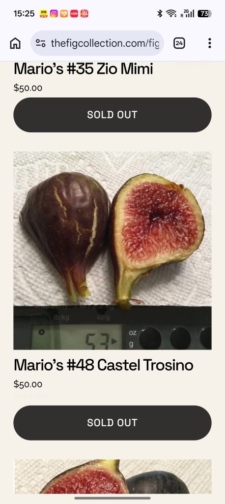 小果迷-种植爱好者交流互动平台