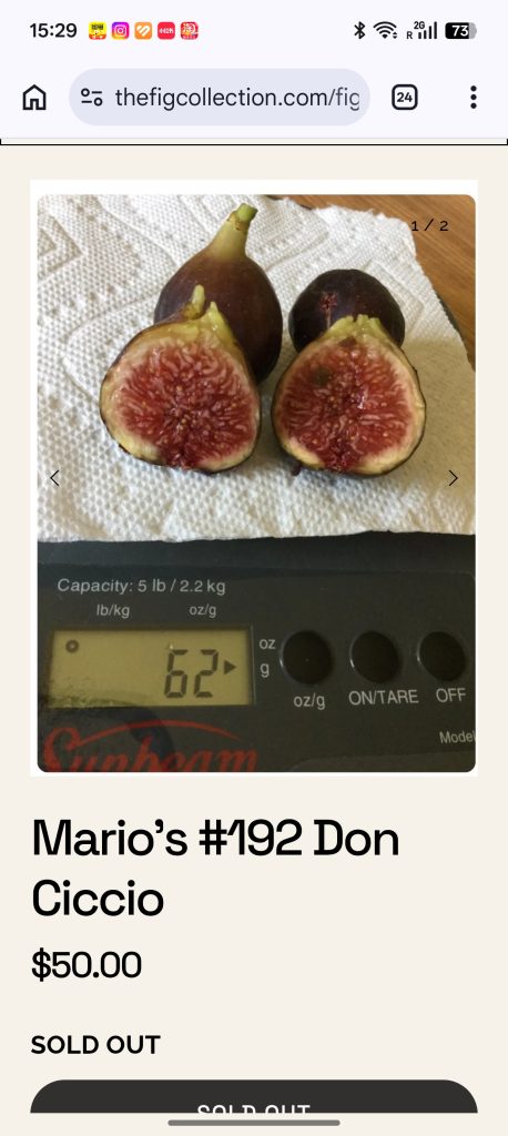 小果迷-种植爱好者交流互动平台