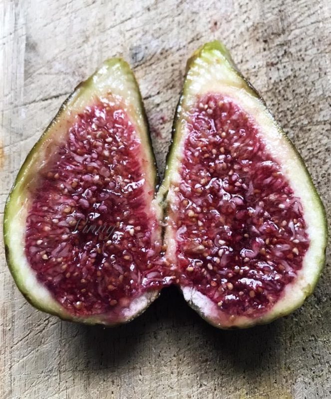 小果迷-种植爱好者交流互动平台