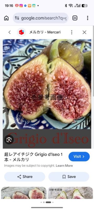 小果迷-种植爱好者交流互动平台