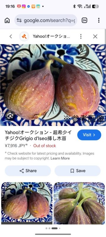 小果迷-种植爱好者交流互动平台