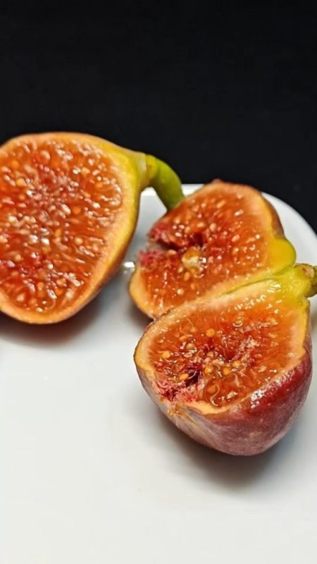 31.哈瓦/CTH Cap Terra Hava(实拍图来自织梦酱）＊推荐品种＊-小果迷