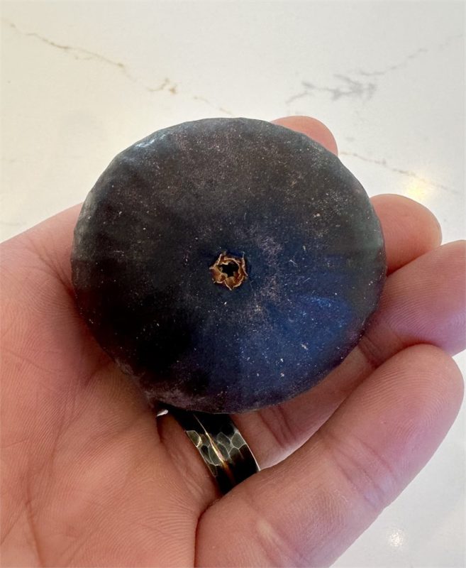 小果迷-种植爱好者交流互动平台