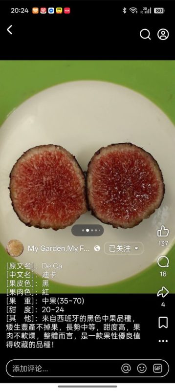 小果迷-种植爱好者交流互动平台