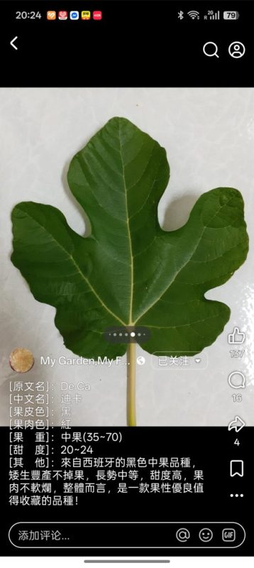 小果迷-种植爱好者交流互动平台