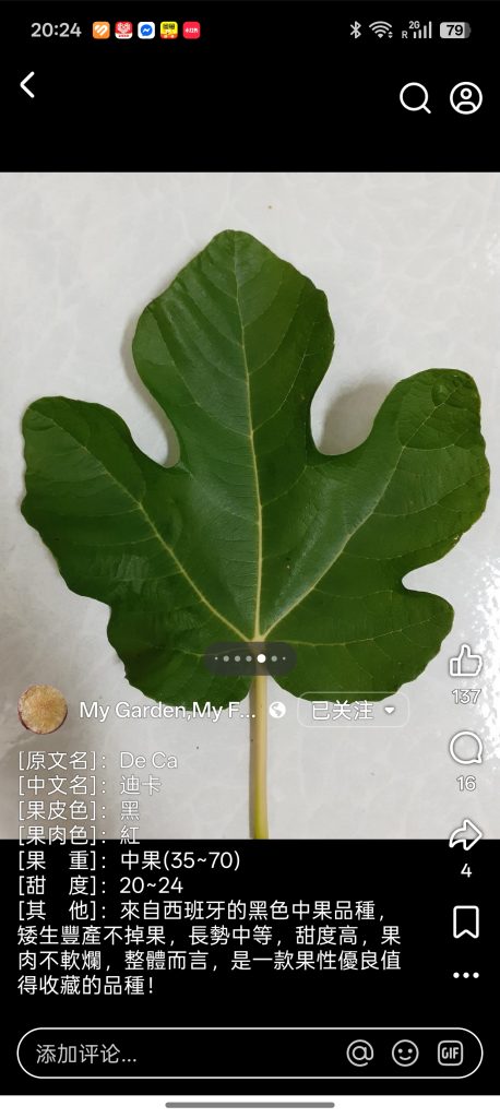 小果迷-种植爱好者交流互动平台