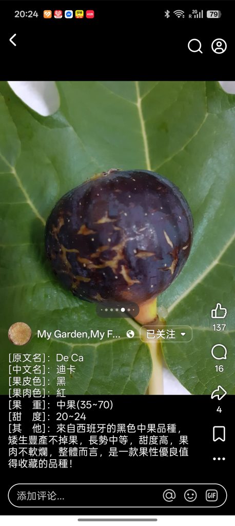 小果迷-种植爱好者交流互动平台