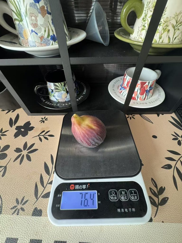 1000057141