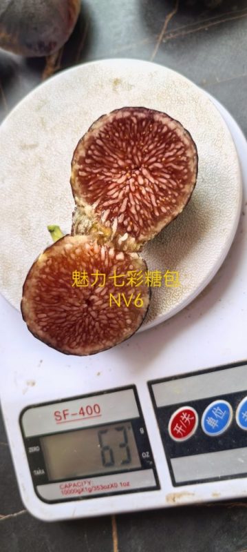 小果迷-种植爱好者交流互动平台