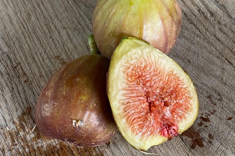 小果迷-种植爱好者交流互动平台