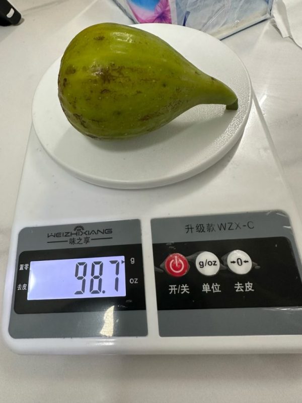 小果迷-种植爱好者交流互动平台