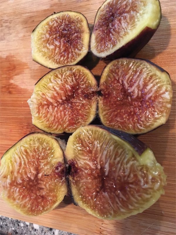 小果迷-种植爱好者交流互动平台