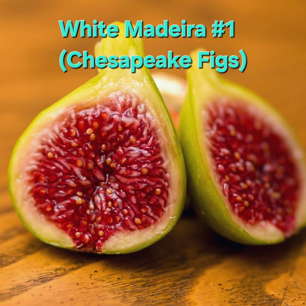 FB_IMG_1776717619087