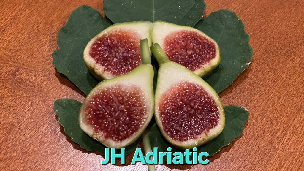 FB_IMG_1776717633947