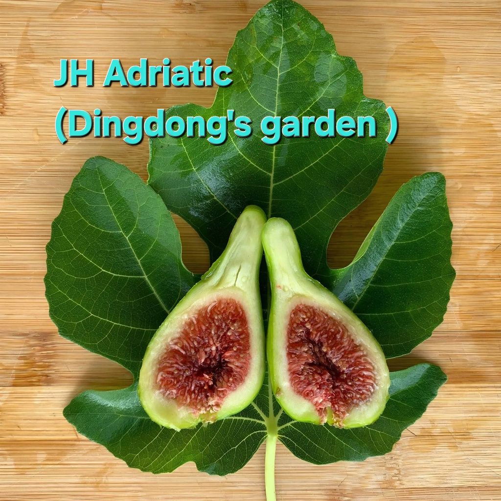 FB_IMG_1776717637228