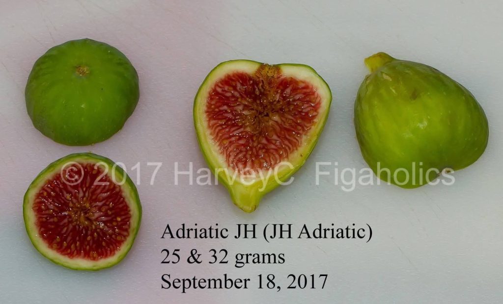 FB_IMG_1776717639656