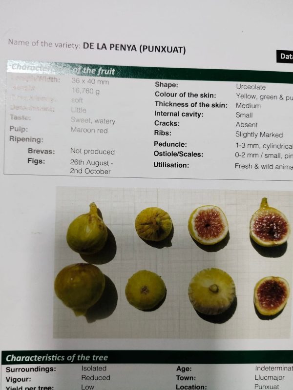 小果迷-种植爱好者交流互动平台