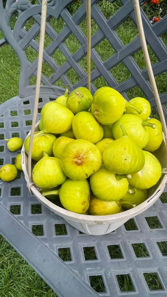 小果迷-种植爱好者交流互动平台