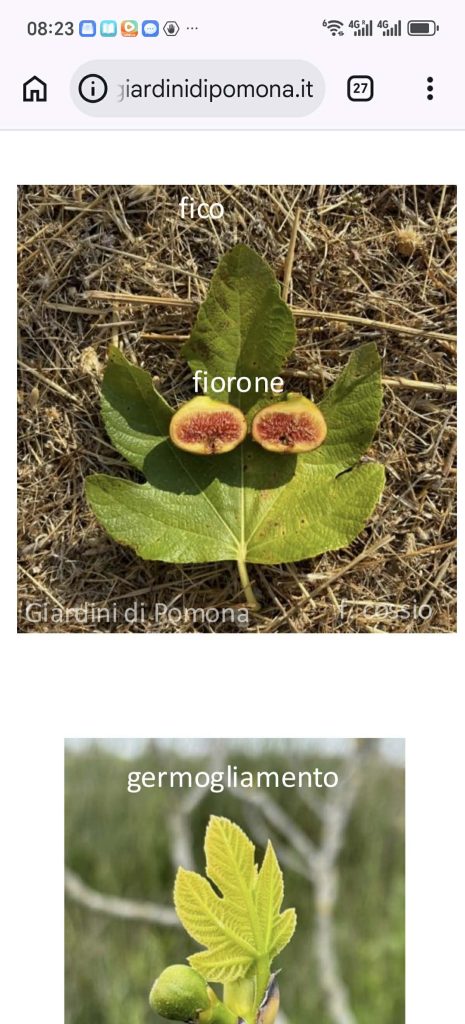 Messenger_creation_1D190EAF-7403-4076-8F6B-BB7E13C82625