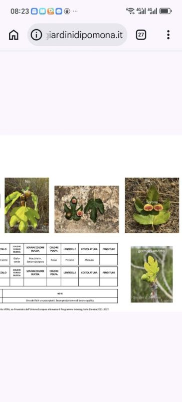 小果迷-种植爱好者交流互动平台