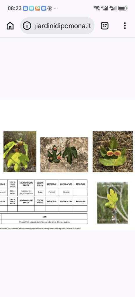 Messenger_creation_27D50892-AD07-48F2-ACC9-1396720F046A