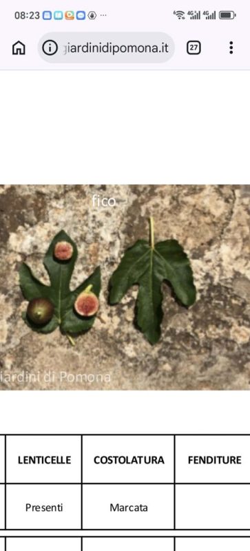 小果迷-种植爱好者交流互动平台